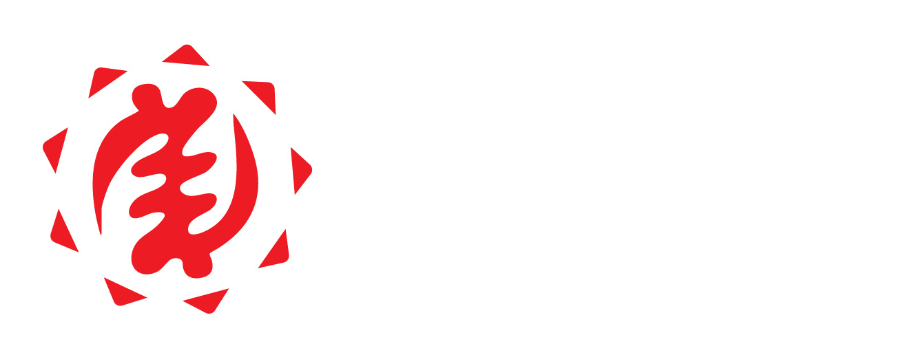 Thesislord Consult logo